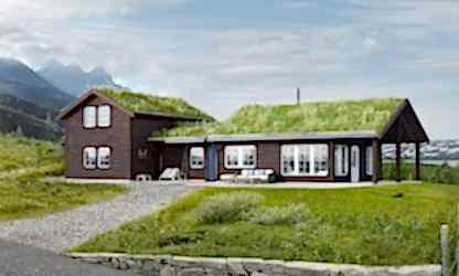 Алмазный - 1